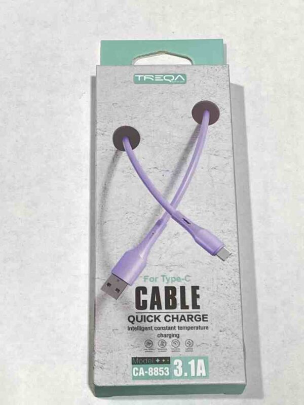 TREQA 3.1A typeC ca-8853