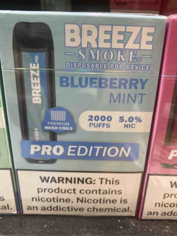 BREEZE SMOKE BLUEBERRY MINT